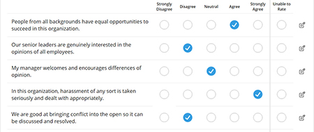 Diversity, Equity, Inclusion Sample Survey & Questions, Equality ...